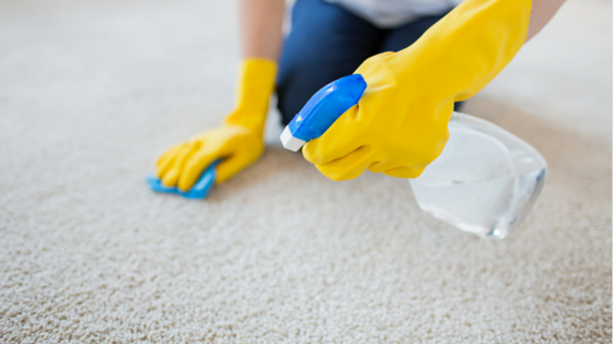 How to Clean Carpet Stains- Part 3